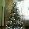 Weihnachtsbaum von jose manuel aguilar aranguren (portuguesa,venezuela)