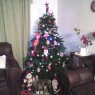 Árbol de Navidad de maria (santiago)