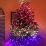 Weihnachtsbaum von Maria Korynsel (Juno Beach Fl)