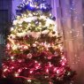 Weihnachtsbaum von GERONDI (Bicqueley, FRANCE)