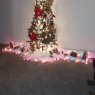 Árbol de Navidad de Milady Figueroa (Minnesota USA)