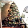 Weihnachtsbaum von Mexican Pine (Monterrey, Mexico)
