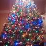 Weihnachtsbaum von Stroupe (USA)