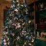 Árbol de Navidad de Donnie M  (Evansville, IN, USA)