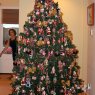 Weihnachtsbaum von michael correale (Honolulu,Hawaii,USA)