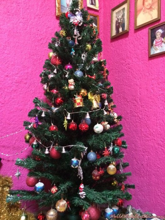 Navidad Mexicana (Tala, Jalisco, MEXICO)