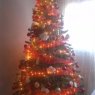Jose de luis's Christmas tree from tenerife