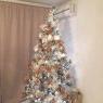 Kareem's Christmas tree from bucharest romania