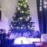 Weihnachtsbaum von Fievet (St-ghislain  belgique)