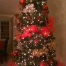 Mercedes's Christmas tree from Florida  Puerto Rico