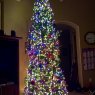 Árbol de Navidad de My Incredible Dream.  (Gilbert,  AZ, USA)