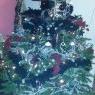 Weihnachtsbaum von axel68100 (colmar)