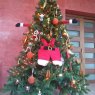 Weihnachtsbaum von Maria Lorena Malo (Cumbaya - Ecuador)