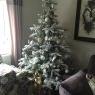 Árbol de Navidad de Zoe hurst (United Kingdom )