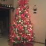 Weihnachtsbaum von Geiger Tree (Brookville, OH, USA)