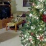 Weihnachtsbaum von Vicente Salazar (Chatsworth,  CA)