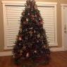 Deborah's Christmas tree from Thunder Bay Canada