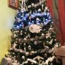 Árbol Star Wars's Christmas tree from Quito, Ecuador