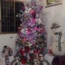 Weihnachtsbaum von Adela Arenas (San Felipe, Yaracuy, Venezuela)