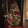 Weihnachtsbaum von Chelsea Christmas Trer (New York City, NY, USA)