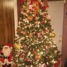 Árbol de Navidad de Brandy  (Kaplan Louisiana, USA)