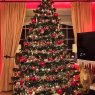 Árbol de Navidad de Damian Smith (Dublin, Ireland)