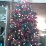 RRS's Christmas tree from Virginia