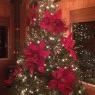 Weihnachtsbaum von Julie lambert  (Minneapolis Minnesota )