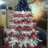 Weihnachtsbaum von ROLLAND & PAMELA CHRISTIANSEN (Barnett , Mo , USA)
