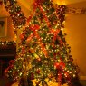 Árbol de Navidad de Ben Randles (South Gloucestershire, England, United Kingdom)