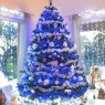 THIERY Cécile's Christmas tree from Lavelenet de Comminges, FRANCE