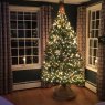 Árbol de Navidad de Alicia J (Boston, MA, USA)