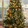 Cherie Knight's Christmas tree from Georgia 