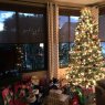 Árbol de Navidad de Judy Nieman (The Villages, FL, USA)