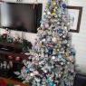 Fanny Diaz's Christmas tree from Iquique, Chile