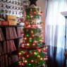 Árbol de Navidad de Megan Donovan (Cambridge, Ontario, Canada)