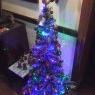Moni's Christmas tree from Argentina