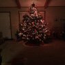 Sapin de Noël de Christmas Love (Henderson,NC,USA)