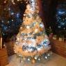 Weihnachtsbaum von Cordonnier elisa  (France nord)