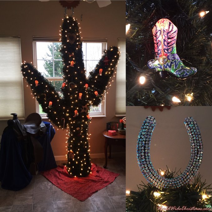 Cowboy Christmas Cactus (Cincinnati, OH, USA)