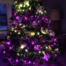 Weihnachtsbaum von Jan Dalton (Liverpool, NY, USA)