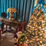 Weihnachtsbaum von Mi Hermoso Arbol de Navidad😀 (Eastgreenwich, UK)