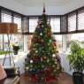Wayne Salford's Christmas tree from Salford, England