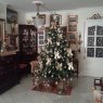 Lourdes's Christmas tree from Málaga, España
