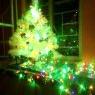 GARCIS's Christmas tree from CDMX