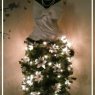 Sapin de Noël de Miss Jenny (Asheville, NC 28803, USA)