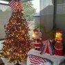kelly l anstett's Christmas tree from USA