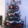 Árbol de Navidad de Laetitia DEHONDT (HERZEELE, France)