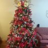 Taciana's Christmas tree from Hamilton, Ontario, Canada