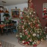 Sapin de Noël de Nedda's Tree (Boca Raton, FL, USA)